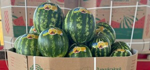 В Одессе начали продавать арбузы: цены