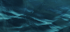 В Запорожской области уже 4 месяца канализационные стоки без очищения попадают в Днепр