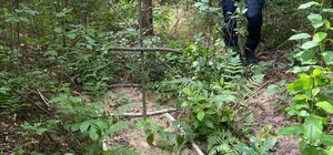 На Бучанщине нашли тело еще одного расстрелянного оккупантами гражданского