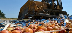 В Запорожской области люди сжигают урожай, чтобы не отдавать оккупантам