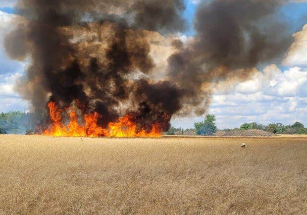 Сгорело 50 гектаров полей: оккупанты обстреляли Днепропетровщину - 
