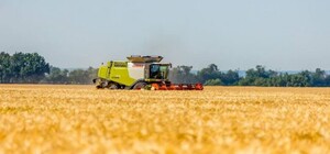 На Днепропетровщине российский танк обстрелял комбайны, которые собирали урожай