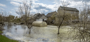 Через 7-10 днів вода піде із затоплених сіл на півночі Київської області