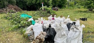 Мешканців Києва звуть на толоку на річці Борщагівка: коли та де пройде