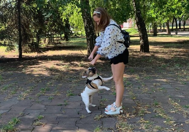 В Кривом Роге девочка выгуливает собак за донаты для ВСУ 