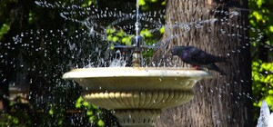 Спекотний та сонячний серпень: яка погода буде в Одесі наступного тижня