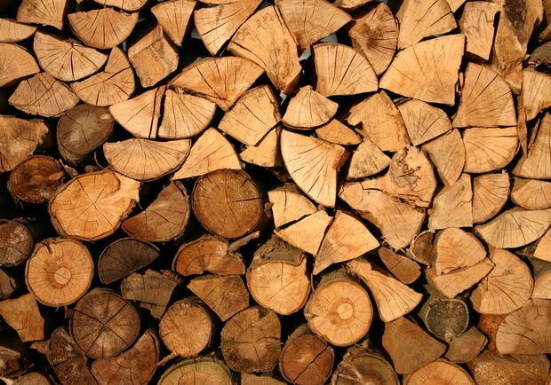 Подготовка к отопительному сезону: где на Днепропетровщине купить дрова - 