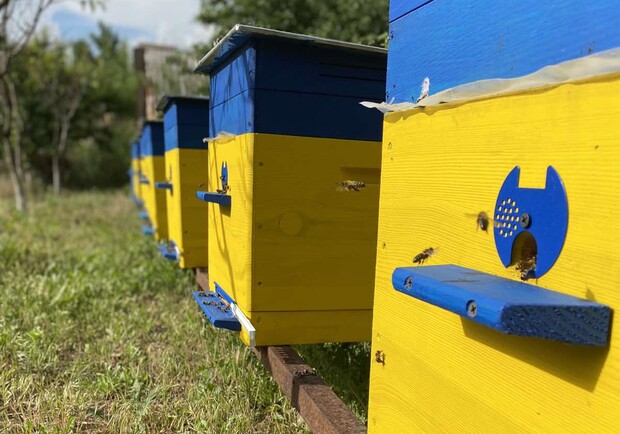 Как "боевые пчелы" из Зеленодольской общины помогают военным 