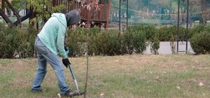 У Дніпрі безробітні та переселенці можуть заробити додаткові кошти