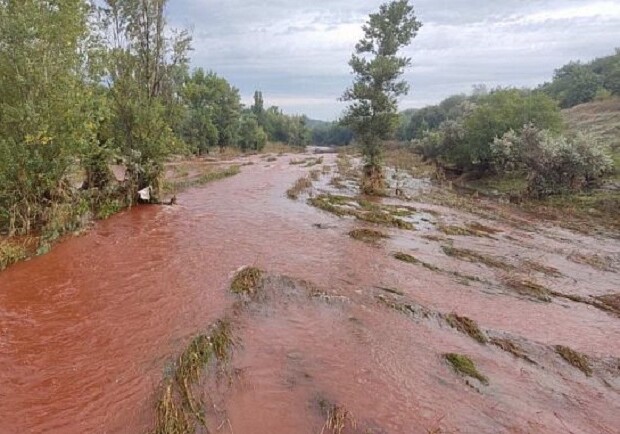 У Кривому Розі почервоніла вода у річці Інгулець - 
