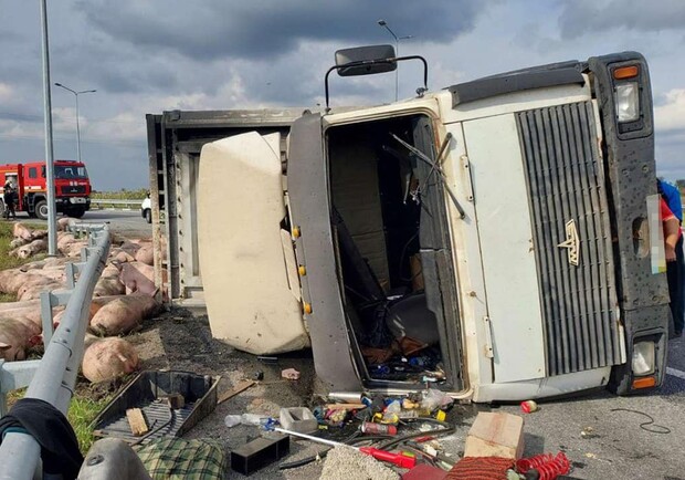 На трасі під Дніпром перевернулася вантажівка, яка везла 150 свиней - 