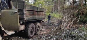 У лісі на Львівщині незаконно зрубали дерева на 900 тисяч гривень