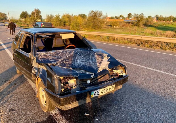 В Днепропетровской области автомобиль сбил насмерть женщину и беременную корову 