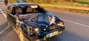 В Днепропетровской области автомобиль сбил насмерть женщину и беременную корову