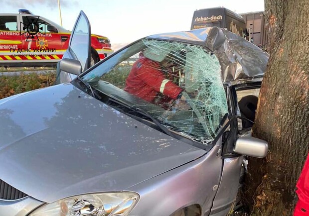 Під Дніпром авто вилетіло з дороги і врізалося в дерево: постраждав водій 