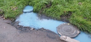 В Днепре у дороги заметили 