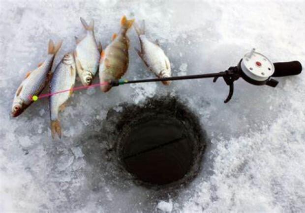 В Днепропетровской области вводится запрет на ловлю рыбы: какие правила 