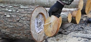 На Львівській митниці викрили канал контрабанди