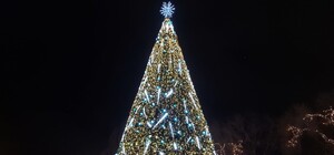 Чи потрібно у Запоріжжі встановлювати новорічну ялинку: як проголосувати