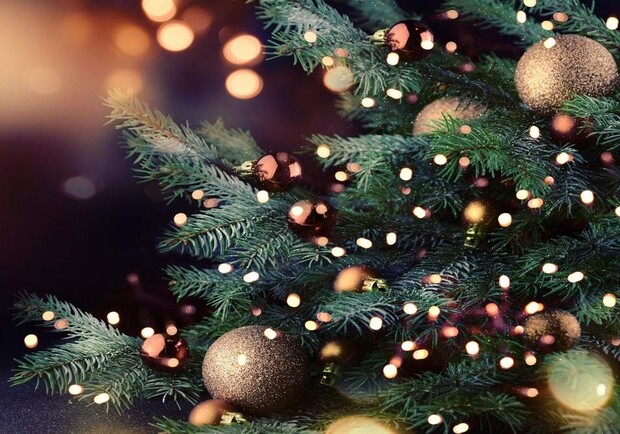 В городе на Днепропетровщине установят главную новогоднюю елку 