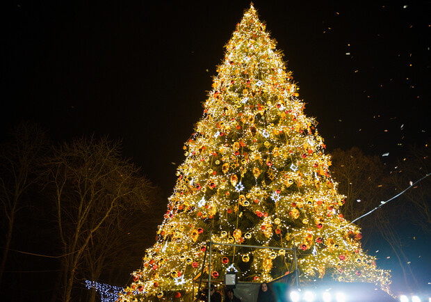 Будут ли устанавливать новогодние елки в Кривом Роге и Новомосковске 
