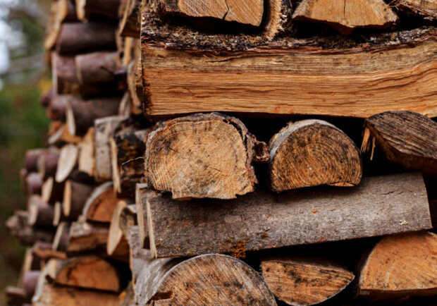 В Днепропетровской области бесплатно предоставляют дрова: кто и как может получить - фото: adm.dp.gov.ua