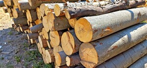 На Киевщине задержали мошенников, которые продавали несуществующие дрова в соцсетях