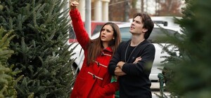 Де в Запоріжжі продають новорічні ялинки та в яку ціну (адреси)