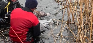 У Дніпропетровській області у водоймі виявили тіло рибалки