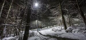 У Голосіївському лісі розпочався сезон катання на лижах та сноубордах: ціни