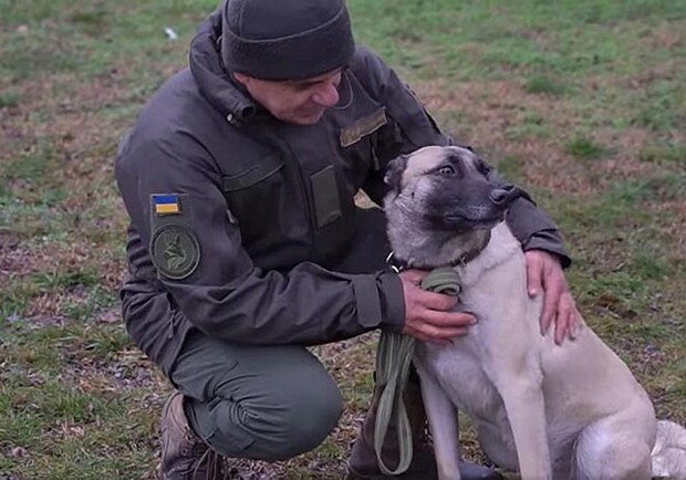 Собаку-спасательницу днепровской бригады НГУ наградили медалью "За отданную службу" 