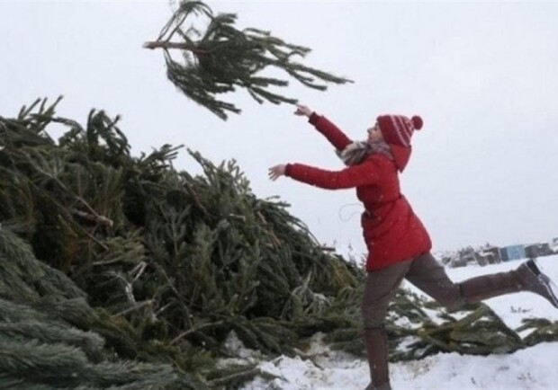 Куда в Днепре отнести новогоднюю елку для утилизации (адреса) 