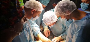 Львівські лікарі пересадили органи п’ятьом людям від посмертного донора