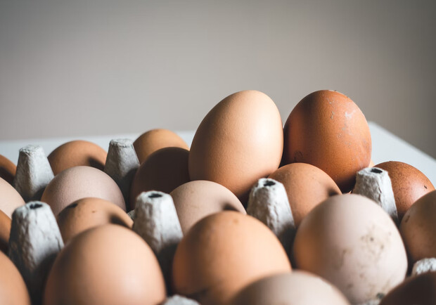 В Україні пропонують запровадити нові правила для продажу яєць: що зміниться. 