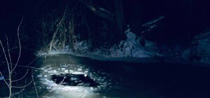 Под Киевом произошла страшная трагедия: погиб ребенок