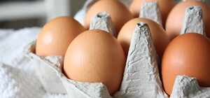 Стало відомо, коли в Україні подешевшають курячі яйця: які будуть ціни