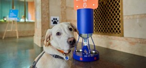 На одесском вокзале появятся поилки для животных