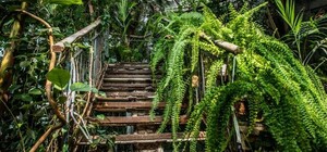 В Днепре будет бесплатно работать ботанический сад: график