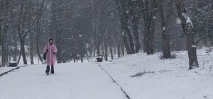 У передостанній день зими Львівщину замітає снігом — відео