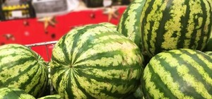 Херсонские арбузы пока заменят одесскими