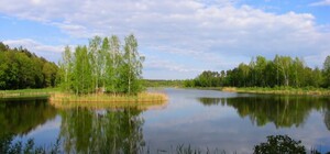 В Киевской области появится 13 новых заповедников: где именно