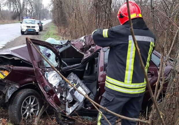 В Днепропетровской области автомобиль влетел в дерево: пострадал водитель - 
