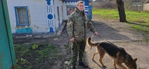 В Днепропетровской области пес помог задержать преступника