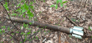 В киевских лесах продолжают находить снаряды