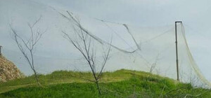 Одесские волонтеры нашли способ борьбы с иранскими дронами: нужны рыболовные сети