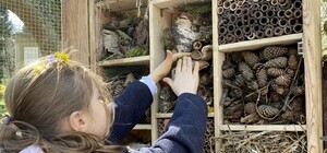 У парку «Знесіння» встановили будиночок для диких бджіл та ос