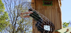 Німецький інспектор перевірив львівський дитячий майданчик «Лис Микита» – результати