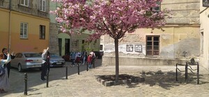 Під час екскурсії у центрі Львова обікрали школяра