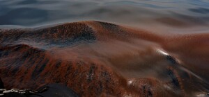 В Одессе возле пляжа Отрада обнаружили пятно из нефтепродуктов