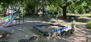 В Запорожье на детской площадке неизвестные застрелили собаку (фото)